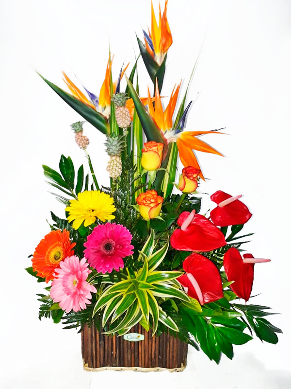 Arreglos Florales: Cumpleaños Colorido 2 • Floristería Camelot • Arreglos  Florales a domicilio